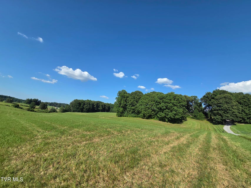 Photo #18: 1120 Old Boones Creek Road