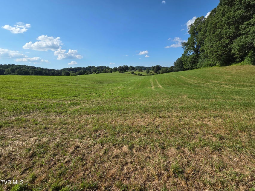 Photo #19: 1120 Old Boones Creek Road