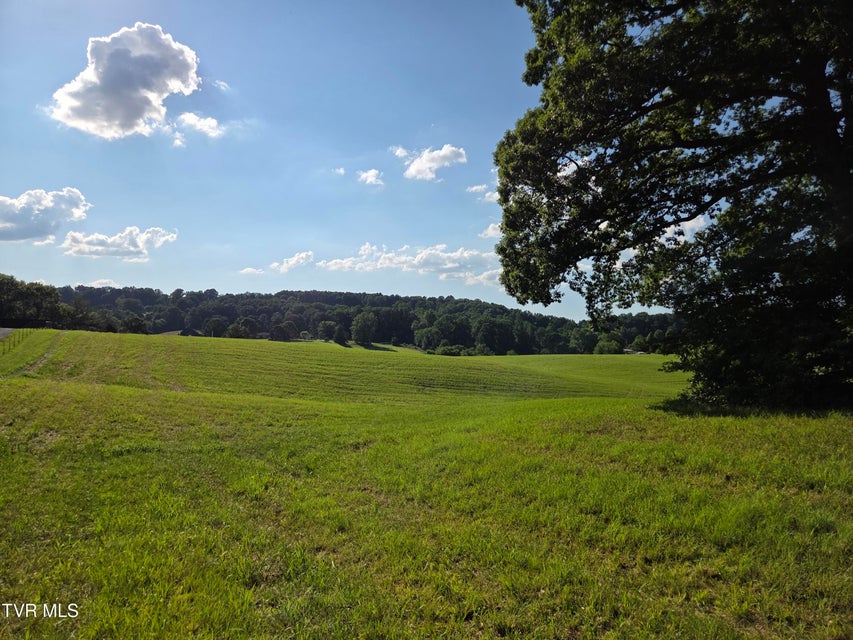 Photo #20: 1120 Old Boones Creek Road