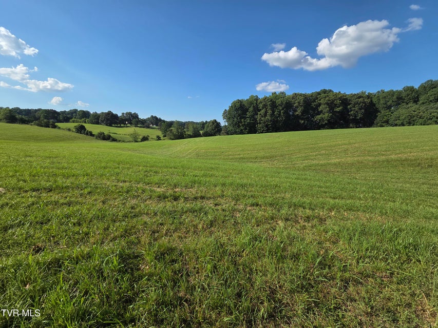 Photo #24: 1120 Old Boones Creek Road