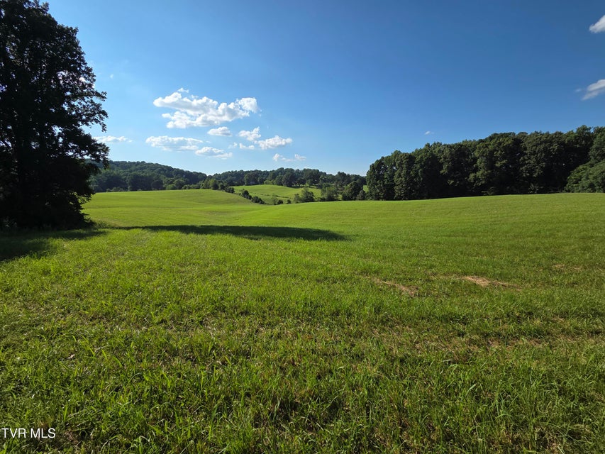 Photo #25: 1120 Old Boones Creek Road