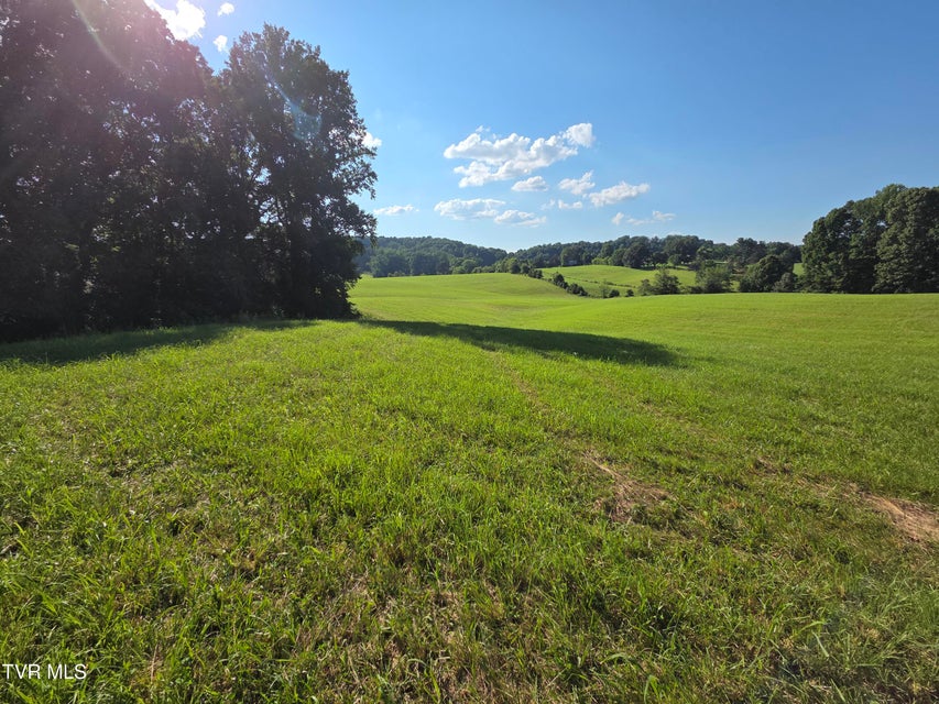 Photo #26: 1120 Old Boones Creek Road