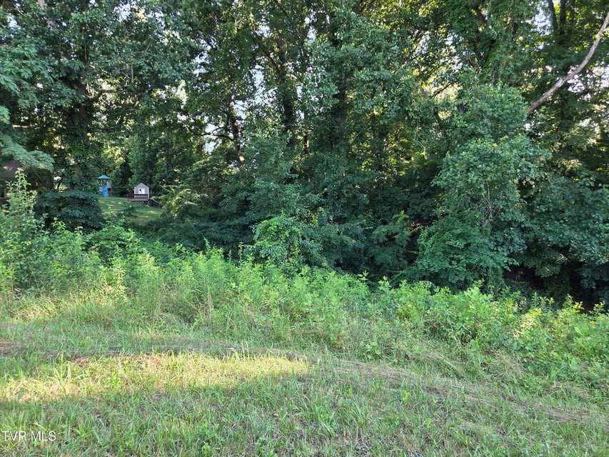 Photo #27: 1120 Old Boones Creek Road