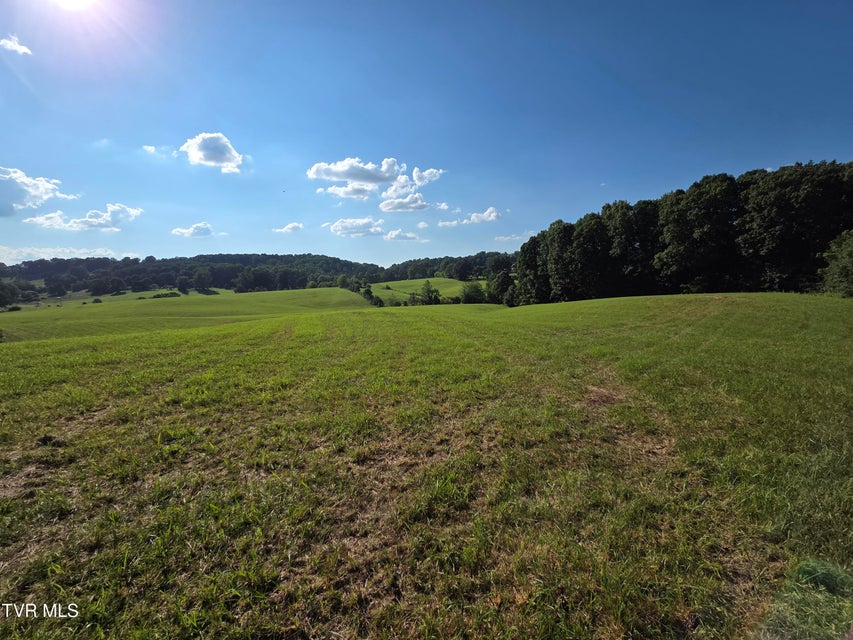 Photo #28: 1120 Old Boones Creek Road