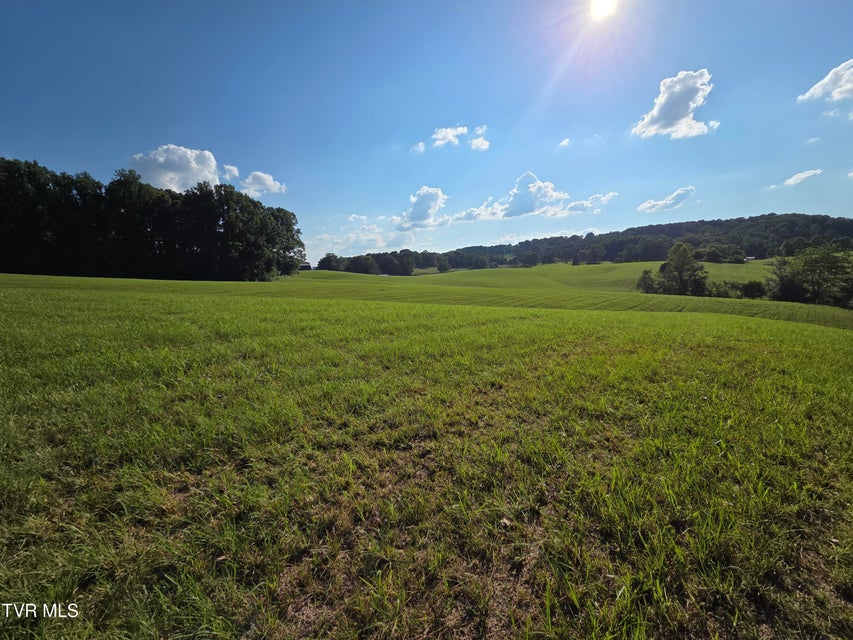 Photo #30: 1120 Old Boones Creek Road