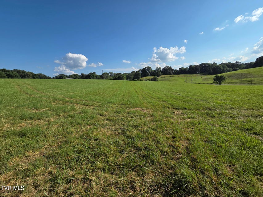 Photo #31: 1120 Old Boones Creek Road