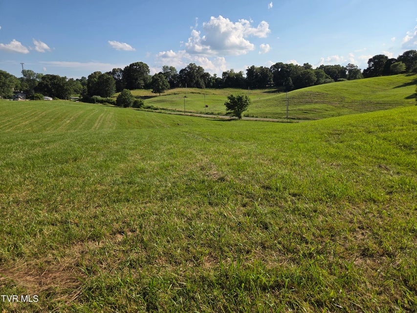 Photo #32: 1120 Old Boones Creek Road