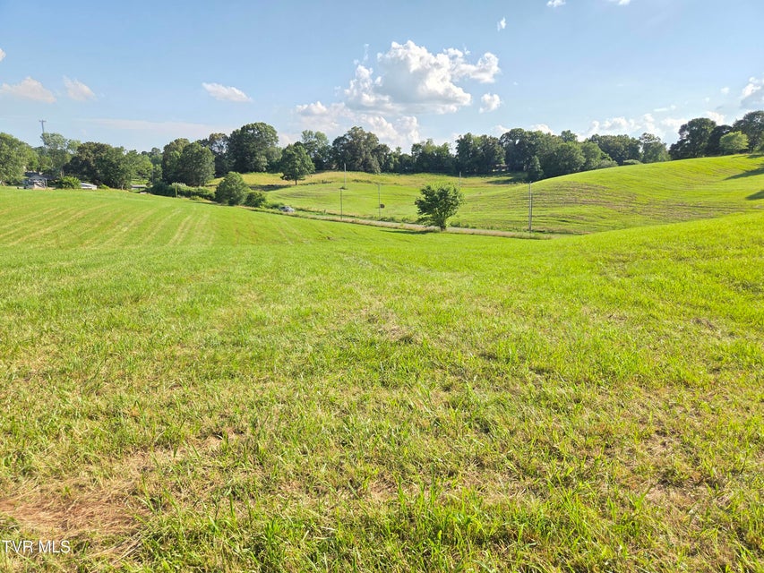 Photo #37: 1120 Old Boones Creek Road