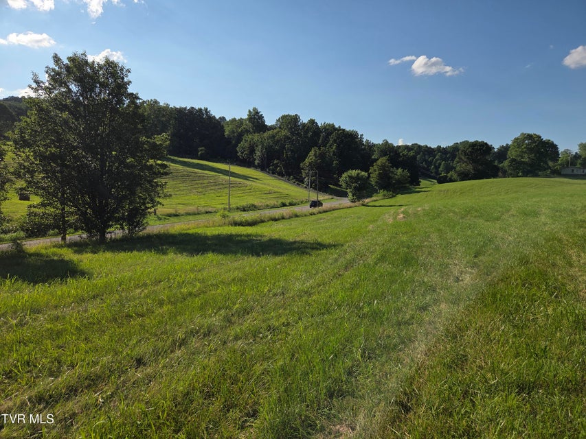 Photo #38: 1120 Old Boones Creek Road