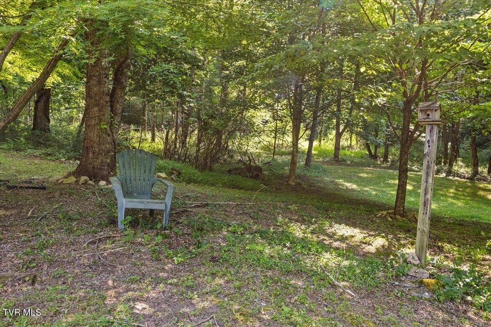 Photo #14: 591 Whaley Town Road