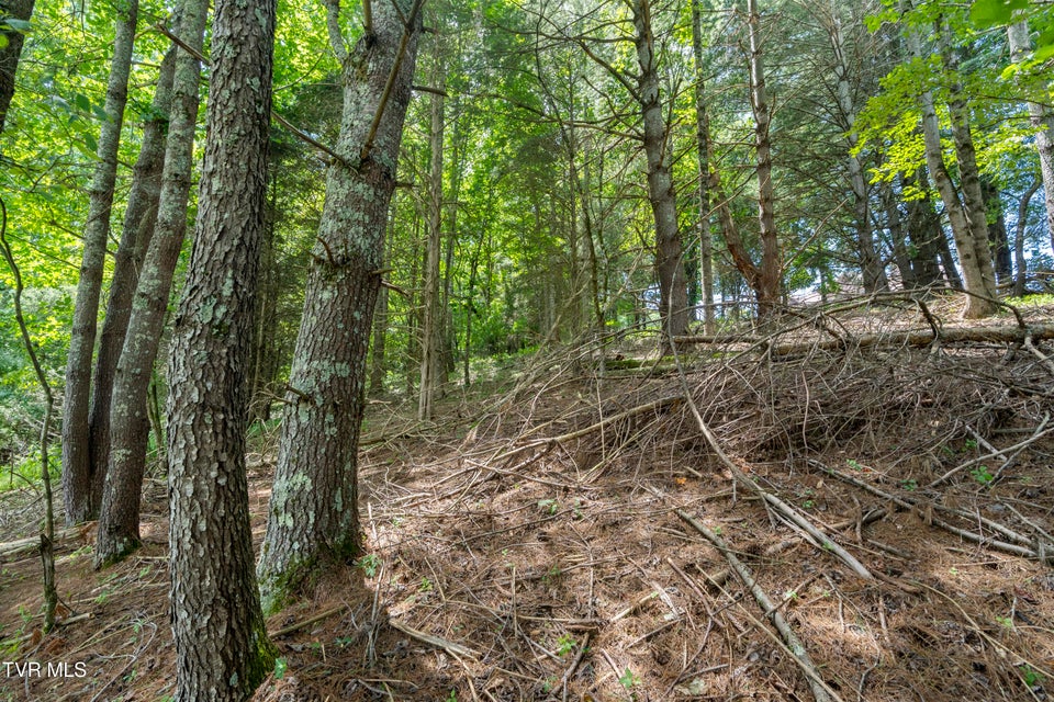 Photo #25: 21468 Mandalay Lane 