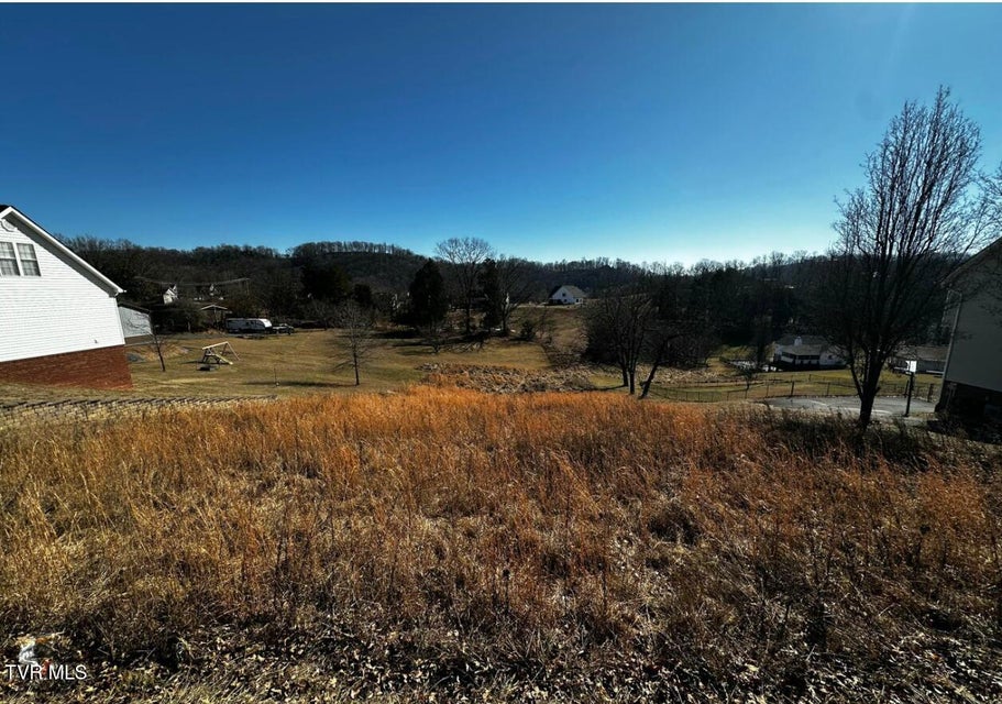 Photo #2: Tbd Clearwater Drive