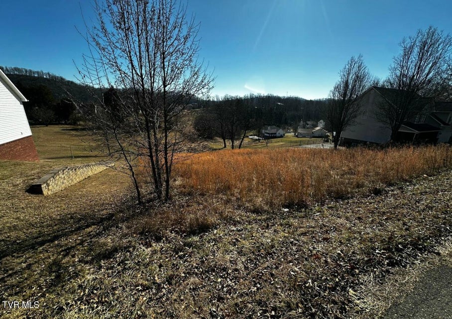 Photo #3: Tbd Clearwater Drive