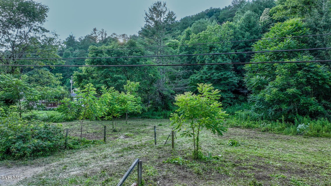 Photo #5: 1555 Hwy 321