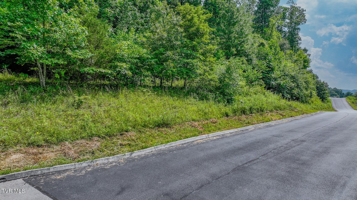 Photo #5: 000 Fordtown Road