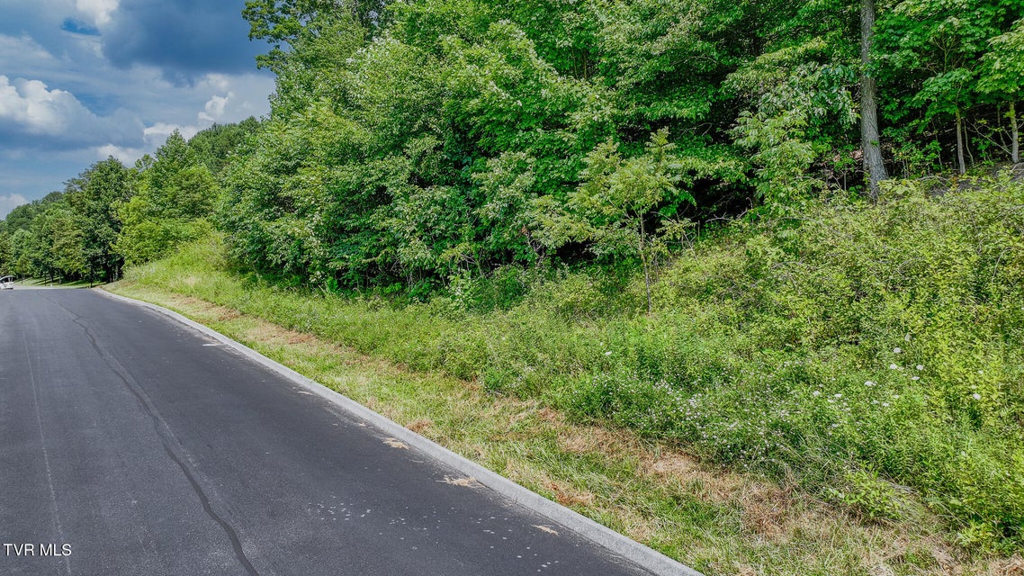Photo #8: 000 Fordtown Road