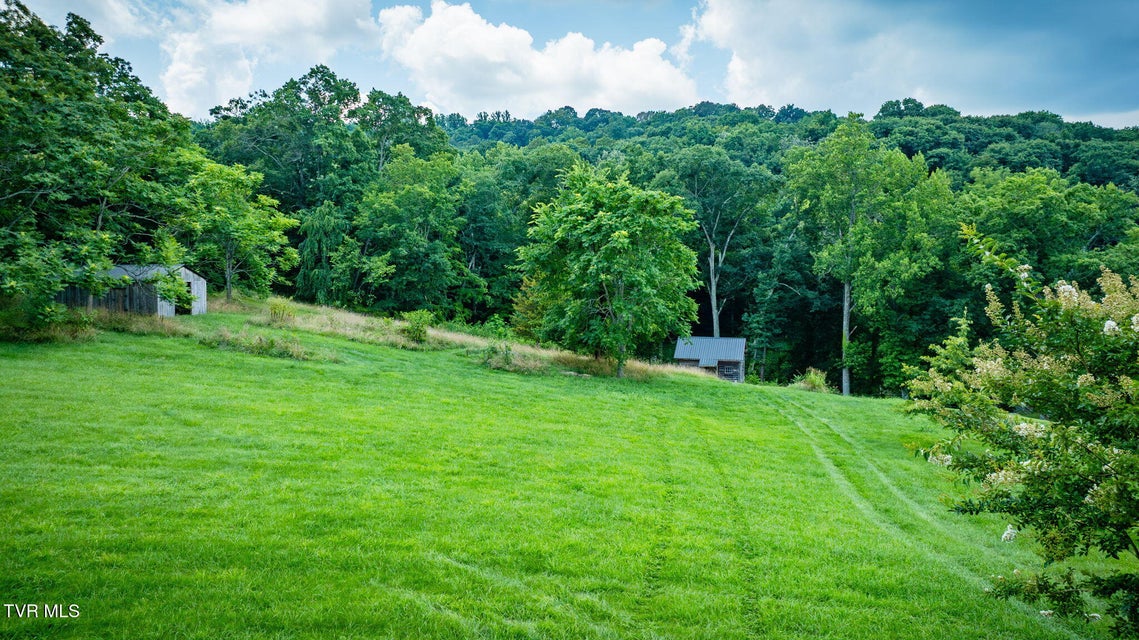Photo #3: 1579 Harr Town Road