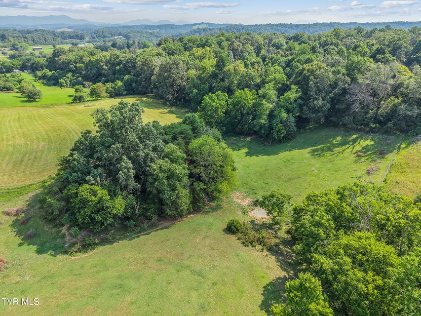 Photo #11: 6.24 Ac Bright Hope Road
