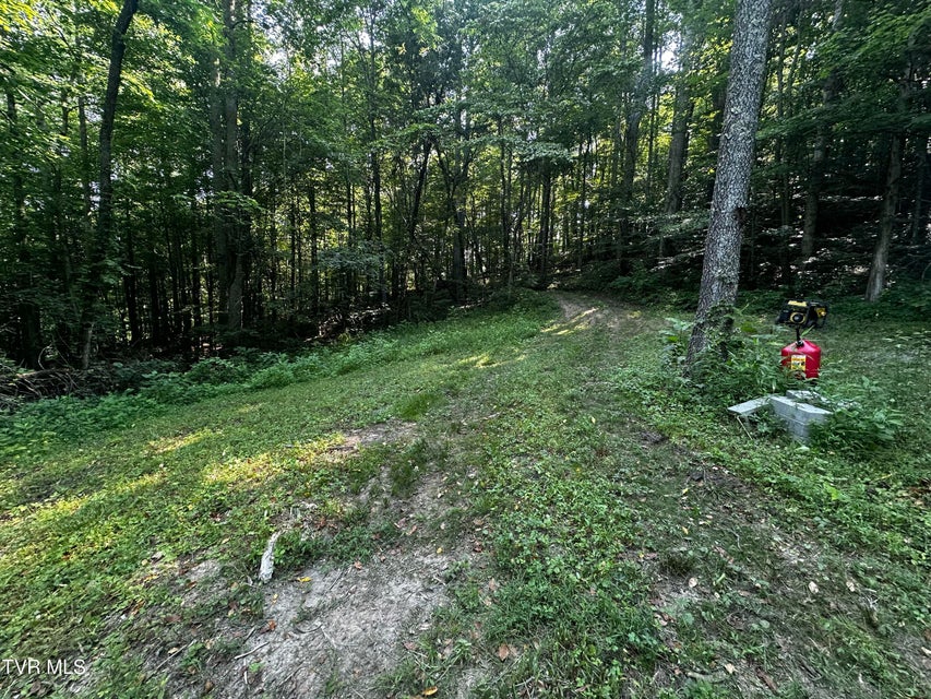 Photo #11: Tbd Clinch Mountain Road