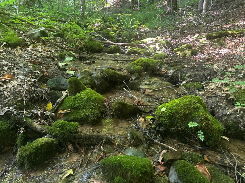 Photo #12: Tbd Clinch Mountain Road