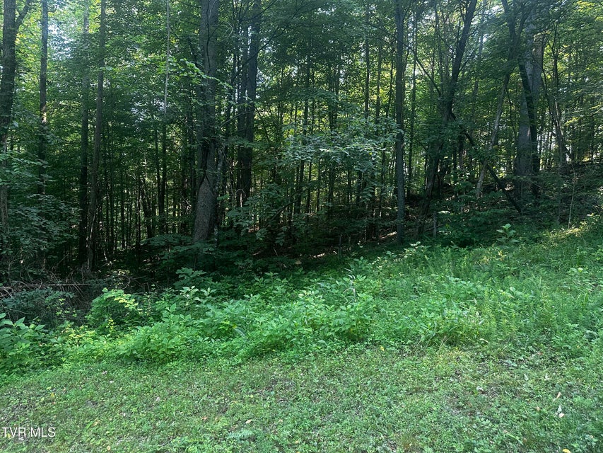 Photo #5: Tbd Clinch Mountain Road