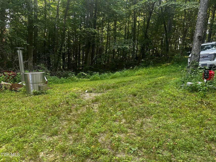 Photo #20: Tbd Clinch Mountain Road