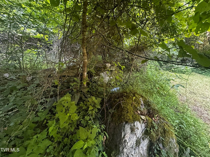 Photo #25: Tbd Clinch Mountain Road