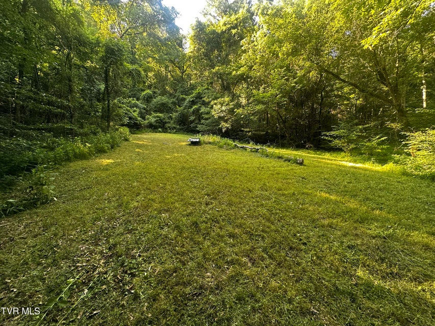 Photo #26: Tbd Clinch Mountain Road