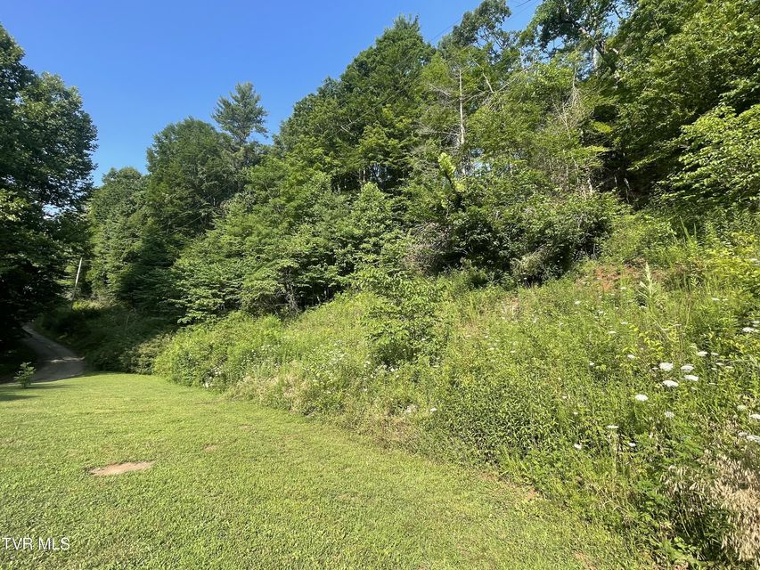 Photo #16: 1700 Copperhead Hollow Road