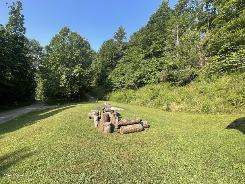 Photo #14: 1700 Copperhead Hollow Road