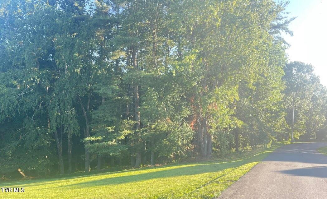 Photo #3: Tbd Off Warrior/Country Acres Lane