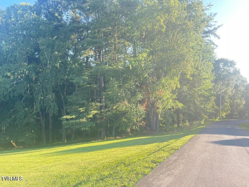 Photo #4: Tbd Off Warrior/Country Acres Lane