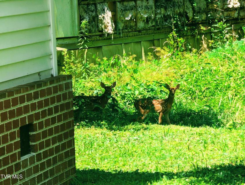 Photo #7: 10632 Sandlick Road