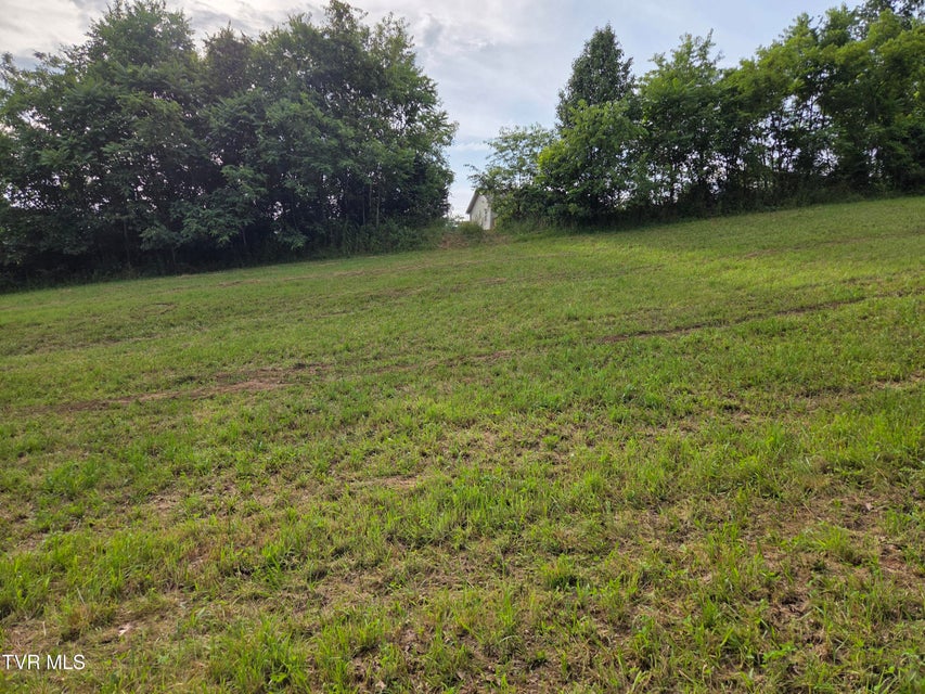 Photo #2: 12.14 Ac. Mockingbird Place