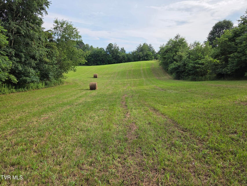 Photo #3: 12.14 Ac. Mockingbird Place