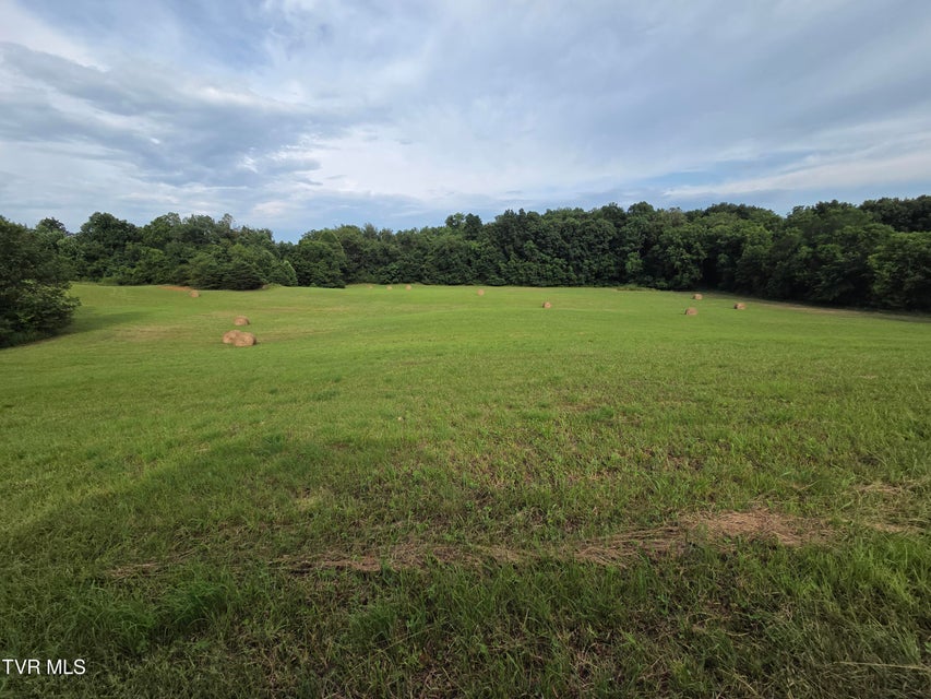 Photo #4: 12.14 Ac. Mockingbird Place