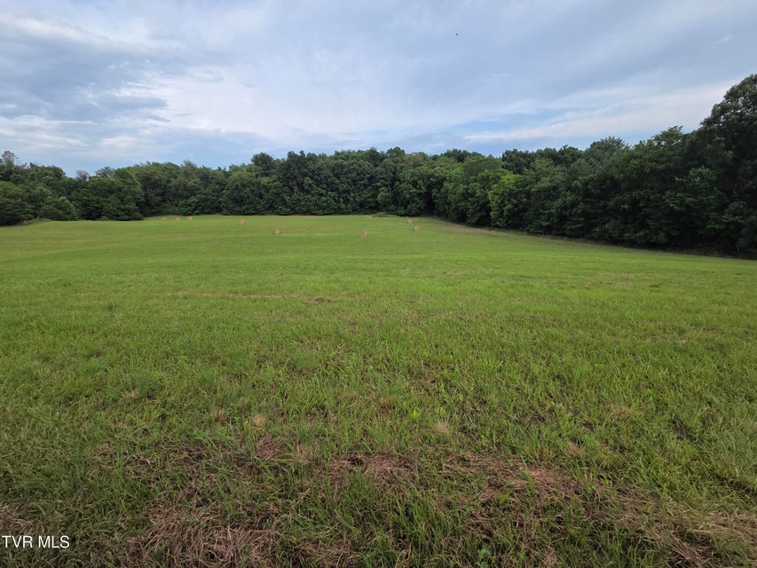 Photo #5: 12.14 Ac. Mockingbird Place