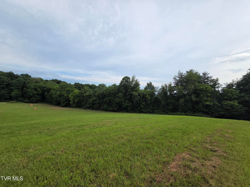 Photo #6: 12.14 Ac. Mockingbird Place