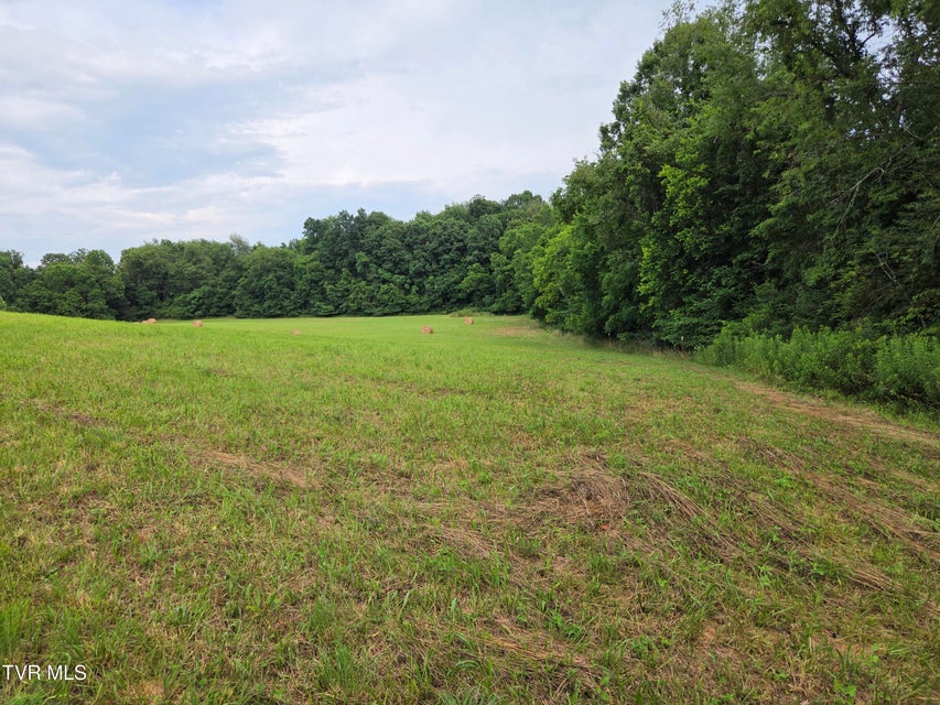 Photo #7: 12.14 Ac. Mockingbird Place