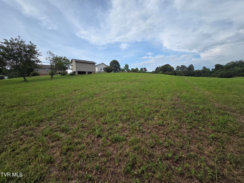 Photo #8: 12.14 Ac. Mockingbird Place