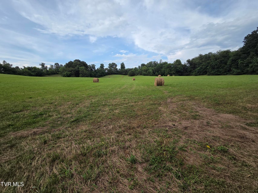Photo #10: 12.14 Ac. Mockingbird Place