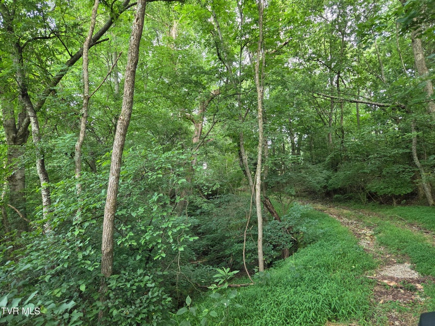 Photo #11: 12.14 Ac. Mockingbird Place