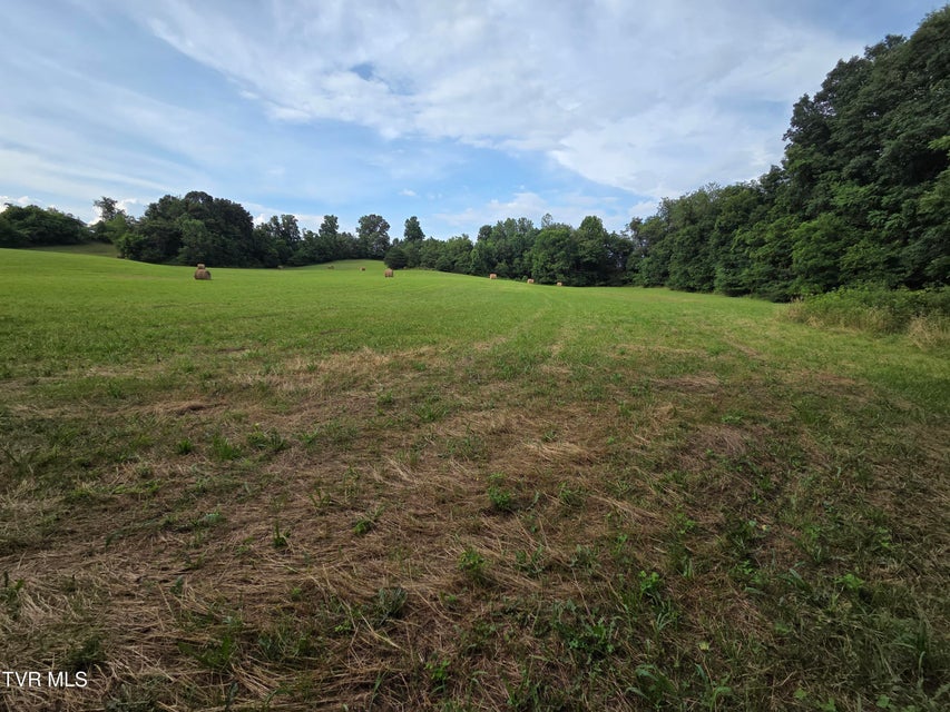 Photo #13: 12.14 Ac. Mockingbird Place