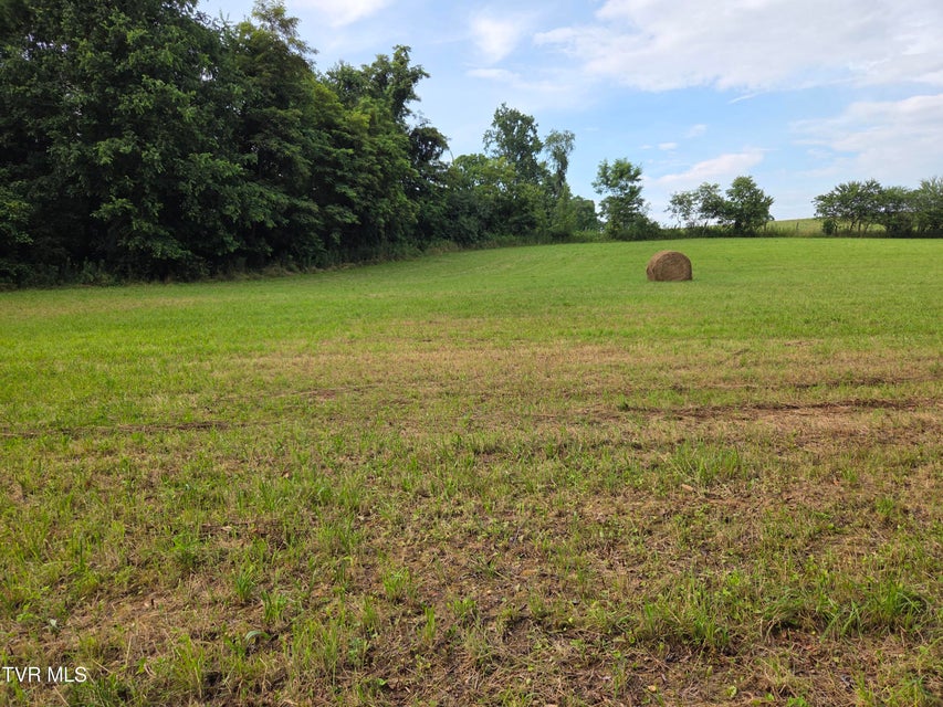 Photo #15: 12.14 Ac. Mockingbird Place