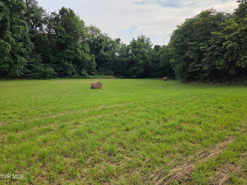 Photo #16: 12.14 Ac. Mockingbird Place