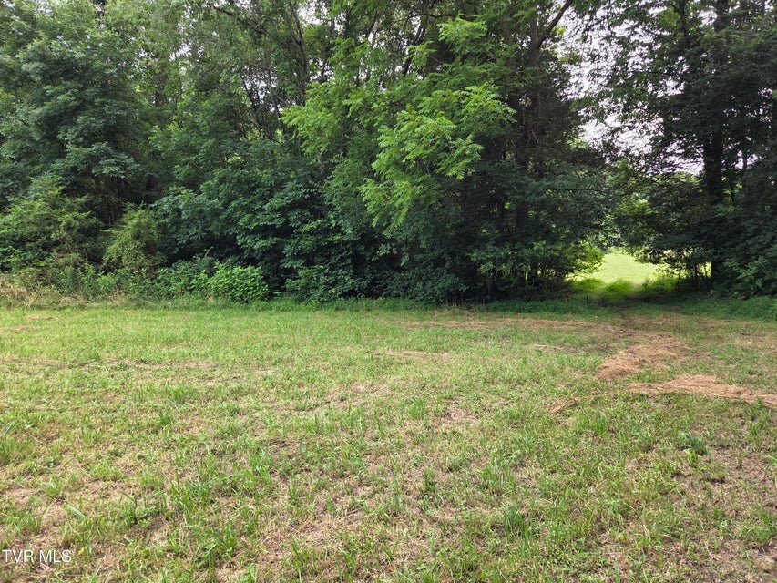 Photo #18: 12.14 Ac. Mockingbird Place