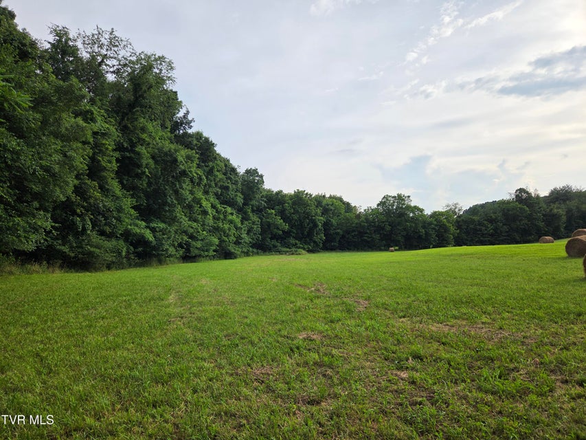 Photo #19: 12.14 Ac. Mockingbird Place