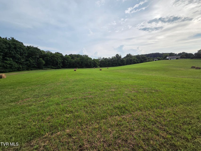 Photo #20: 12.14 Ac. Mockingbird Place