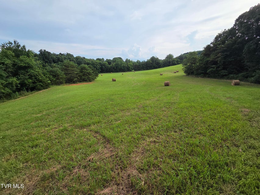 Photo #21: 12.14 Ac. Mockingbird Place
