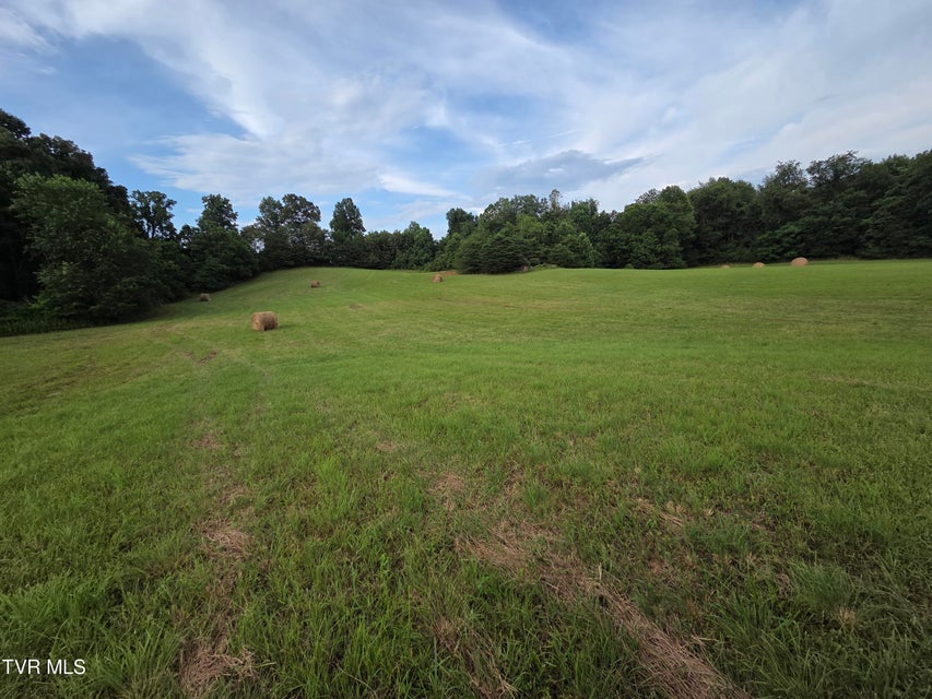Photo #22: 12.14 Ac. Mockingbird Place